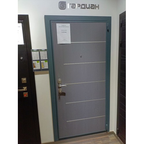 Дверь Гардиан ДС-3у (75.14)