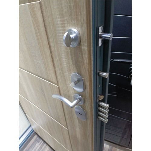 Дверь Гардиан ДС-3у (75.14)