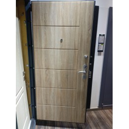 Дверь Гардиан ДС-3у (75.14)