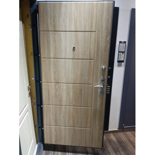 Дверь Гардиан ДС-3у (75.14)