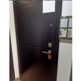 Дверь Гардиан ДС-9 (25.14)