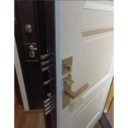 Дверь Гардиан ДС-9 (25.14)