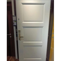 Дверь Гардиан ДС-9 (25.14)