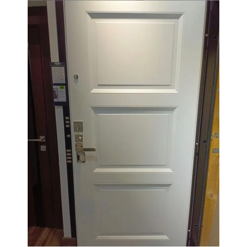 Дверь Гардиан ДС-9 (25.14)