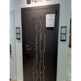 Дверь Гардиан ДС-9у (Mottura)