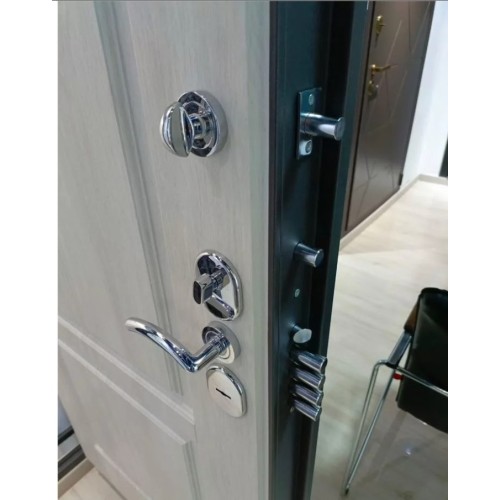 Дверь Гардиан ДС-9у (Mottura)