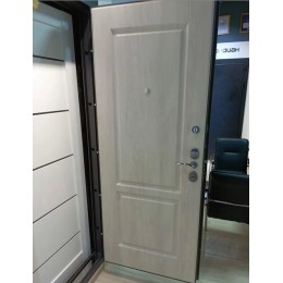 Дверь Гардиан ДС-9у (Mottura)