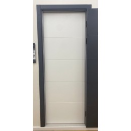 Дверь Trivia Polar